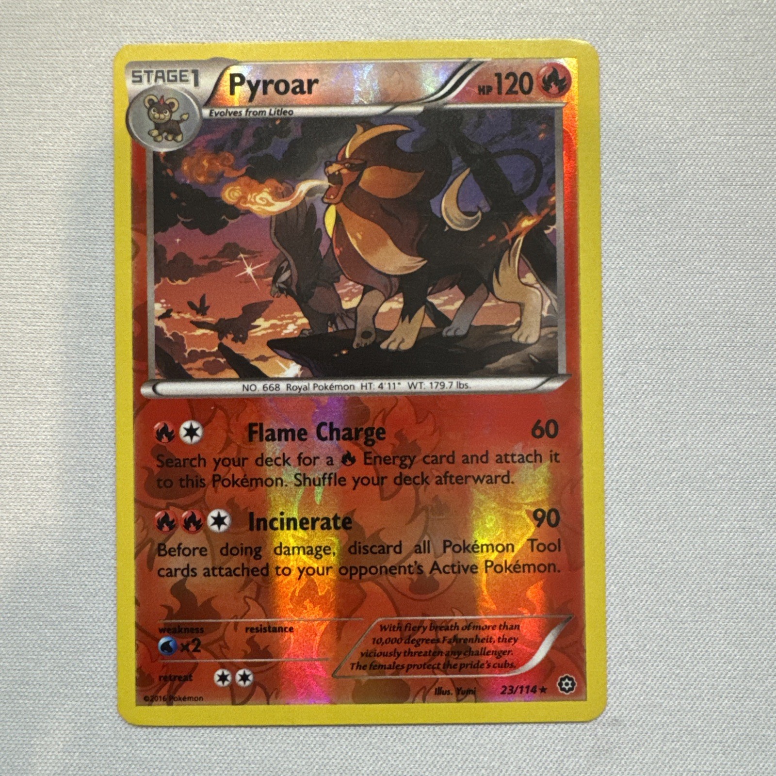 Pyroar 23/114 XY - Steam Siege Reverse Holo