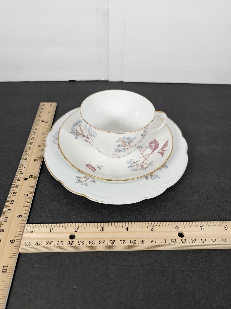 CH Field Haviland Limoges Gda France 3 Piece Tea Cup Saucer With