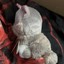 Bild 4 von 4