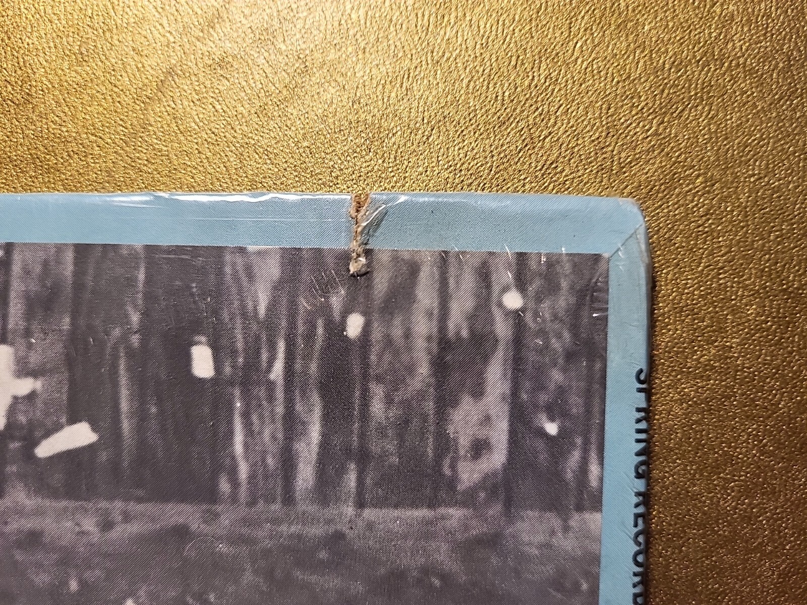 Picture 5 of 6