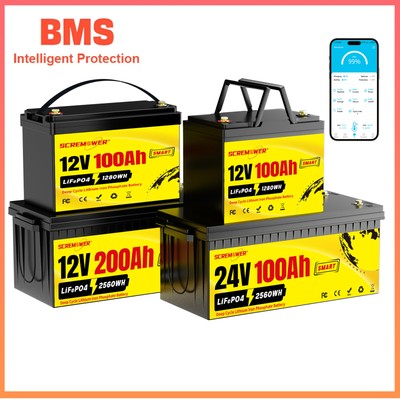 12V 24V 100Ah 200Ah Bluetooth Low Temp LiFePO4 Lithium Battery for Solar Marine
