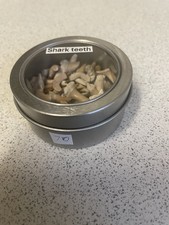 70 Sharks Teeth