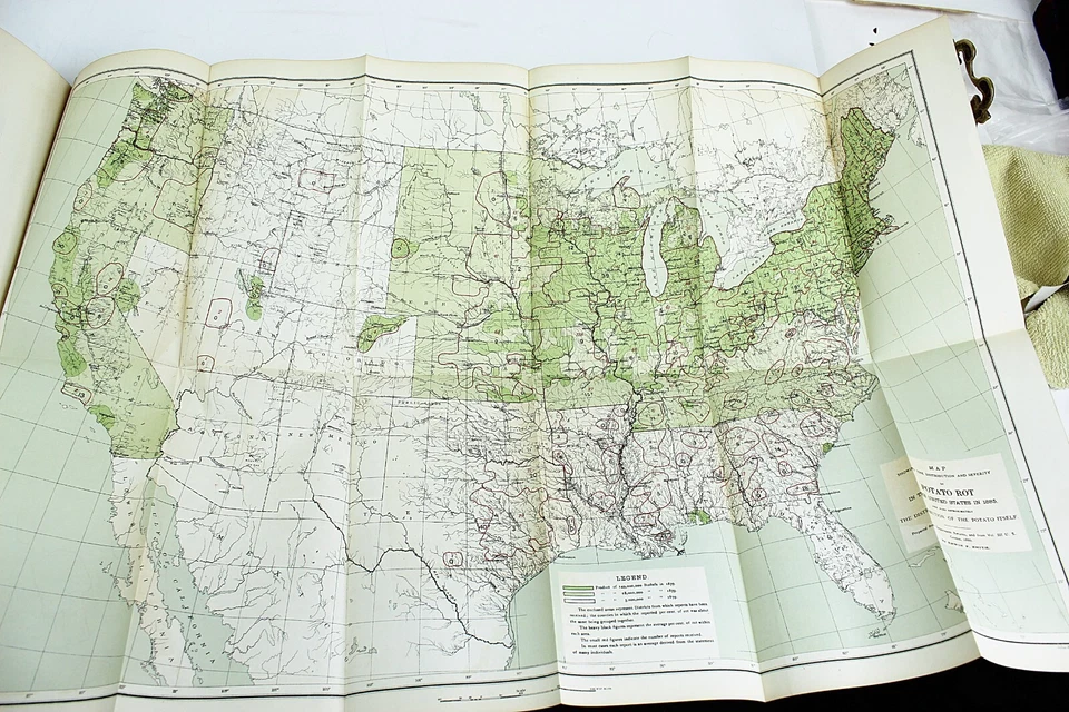 1888 DEPARTMENT OF AGRICULTURE Report Color & B/W Plates and Maps Diseases Fruit - Image 4 of 4