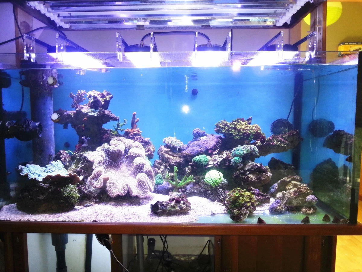 Saltwater aquarium light 2025