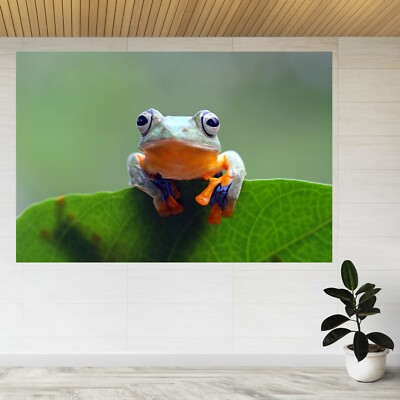 Fliegender Frosch auf grünen Blättern 3D Ansicht Wandsticker Poster Aufkleber A211