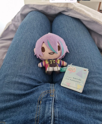 Project Sekai Kamishiro Rui Fuwa Puchi mascot plush 3.9inch keychain