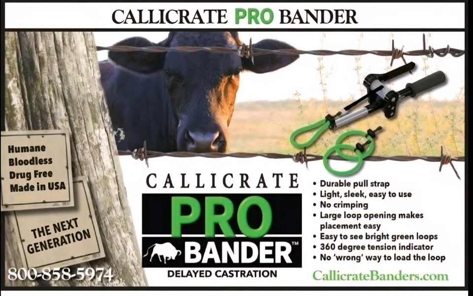 Callicrate PRO Bander™ Kit | eBay