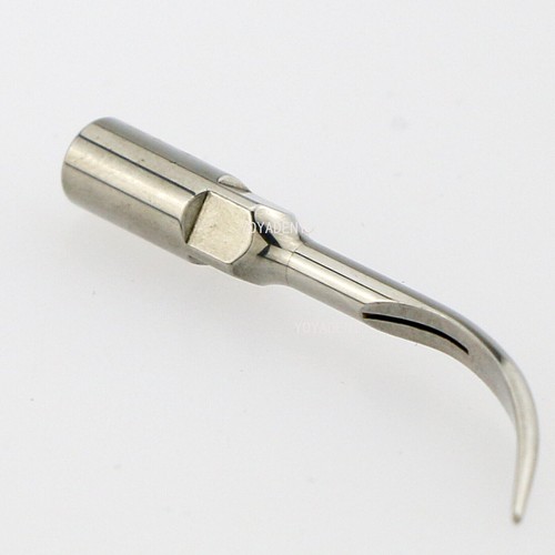 Woodpecker Dental Ultrasonic Scaler Tips G Scaling Tips Fit EMS Handpiece - Picture 50 of 84
