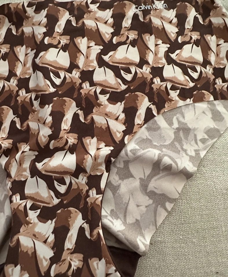 CALVIN KLEIN Invisibles Hipster Panty “Left Behind Umber” Size Medium #D3508 NWT - Image 4 of 4