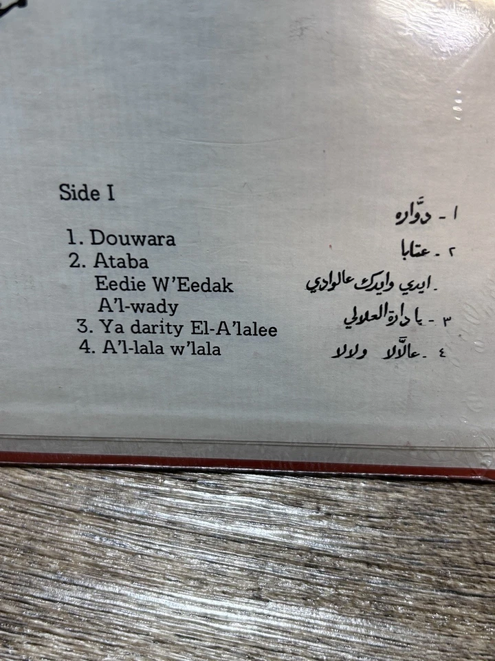 LAURICE PETERS: laurice peters sings Ameer 12" LP 33 RPM Brand New Never Opened - Image 4 of 4