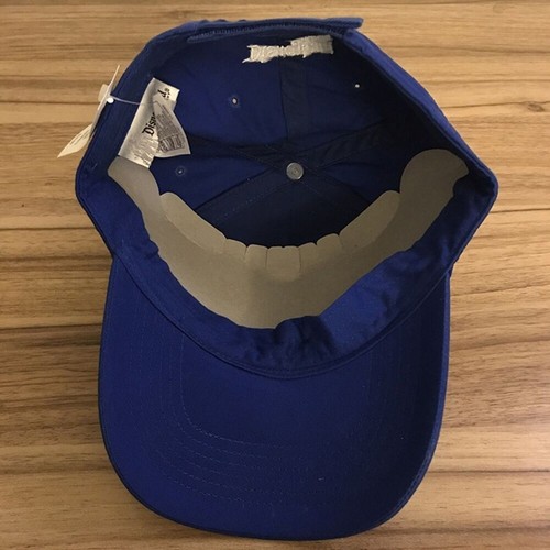 2008 Youth Size Blue Disney Disneyland Resort Hat Mickey Donald Goofy Pluto - Picture 5 of 5