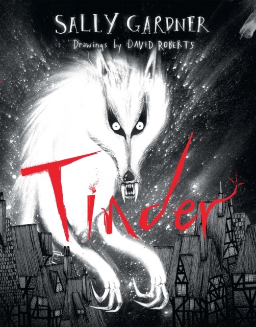 Tinder by Sally Gardner (Hardback Book)
