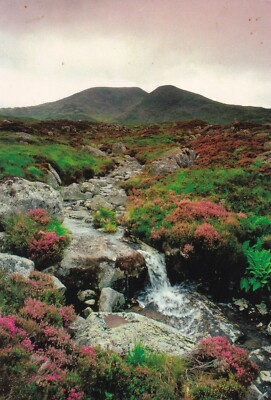 HIGHLAND BURN ~ GOLSPIE ~ SCHOTTLAND ~ GEBRAUCHT ~ UNVERSAND