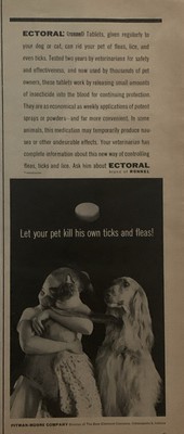 1963 Ronnel Ectoral Flea & Tick Pill PRINT AD Cat / Dog - Let Pet Kill VTG 1960s