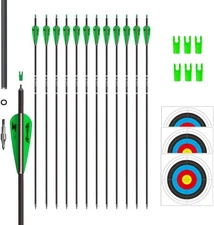 12PACK 31inch Carbon Arrow Targeting Practice Hunting Arrows with Removable Tips