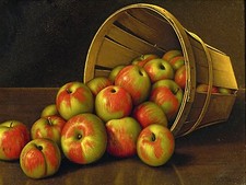 OVERTURNED BASKET OF APPLES Accent Tile Mural Kitchen Bathroom Backsplash 8x6