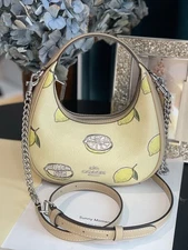 Coach NWT Carmen Mini Crossbody Bag In Lemon Print CAL00