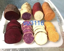 Variety Sweet potato Slips ( 20 Slips  ) Purple+Okinawa+Japanese Red+Beauregard