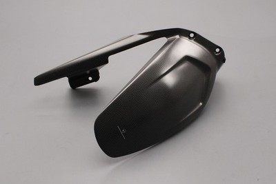 Genuine Ducati Panigale Streetfighter V4/S carbon fibre rear