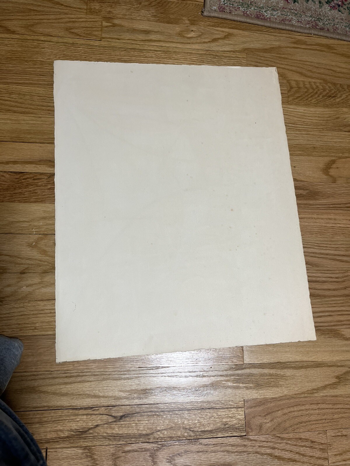 Picture 5 of 13