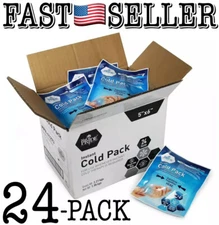 24x Disposable Cold Therapy Ice Packs for Pain Relief, Swelling, Inflammation ..