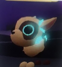 Neon Kid Goat, Summer State Fair 2024