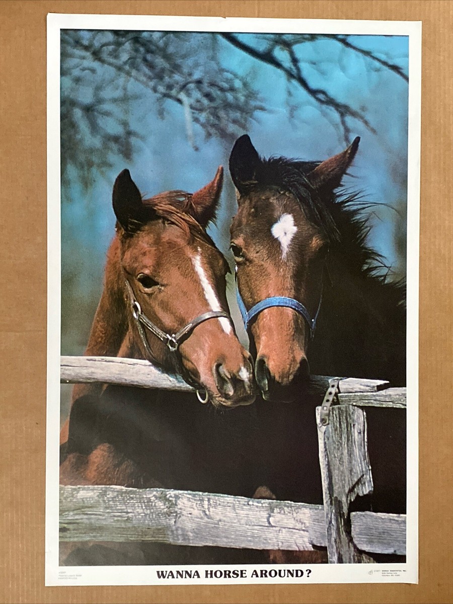 Wanna Horse Around Vintage Headshop Poster Animals Joke Sex Horses