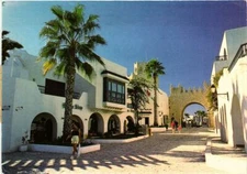 CPM AK TUNISIE Port EL-KANTAUOI - HAMMAM SOUSSE (258557)