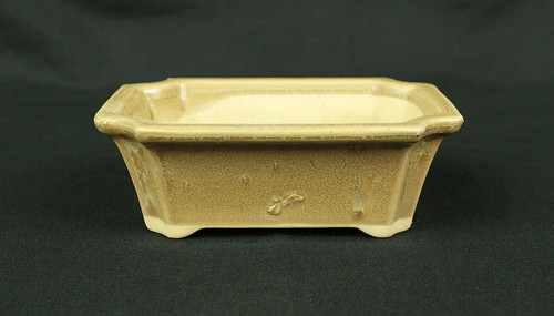 盆栽鉢 Japanese Small Bonsai Pot Pottery 190g 4.8" W x 1.7" H x 3.6" D V127