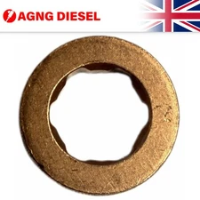 Injector Washer Seals AG655