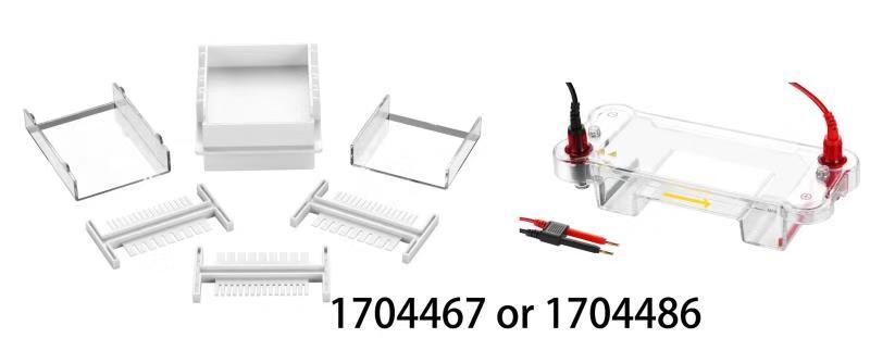 OEM Replacement for Bio-Rad Mini-Sub Cell GT Horizontal