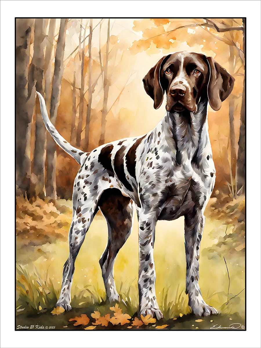 German shorthaired outlet pointer wall art