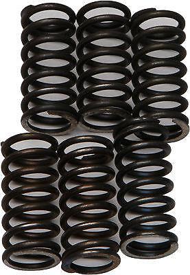 EBC CSK Clutch Springs #CSK200 Aprilia RSV 1000R Factory/RSV 1000R