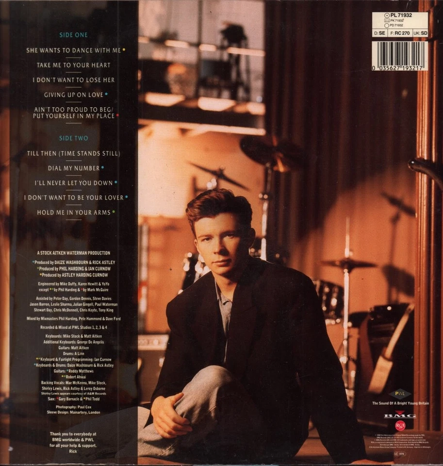 Rick Astley Hold Me In Your Arms LP vinyl Germany Rca 1988 with inner sleeve - Bild 2 von 4