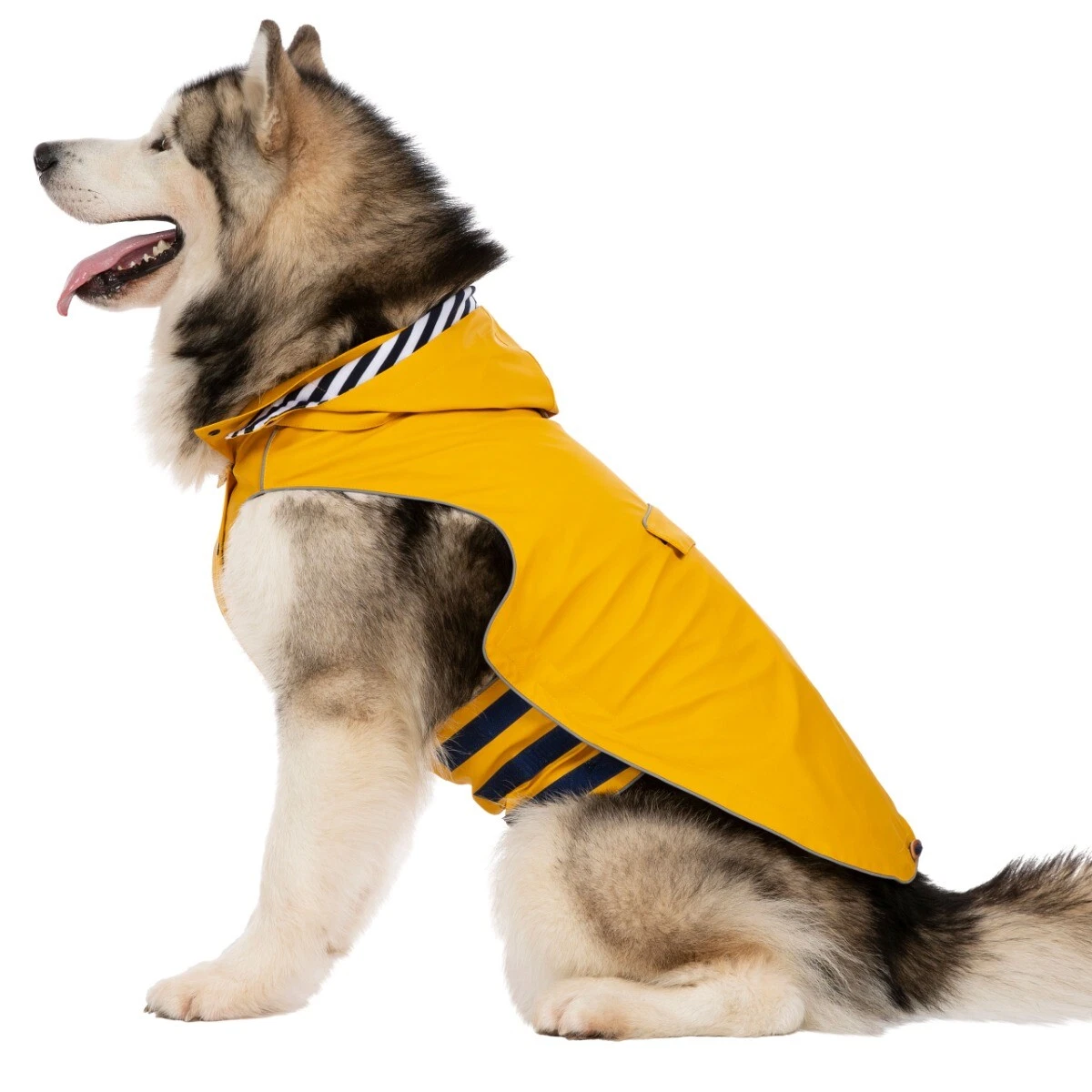Trespaws shop dog coat