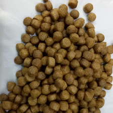 5mm High Protien Floating Fish Food. oscar fish 
