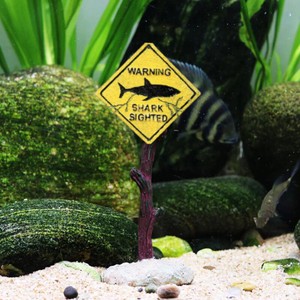 aquarium accessories