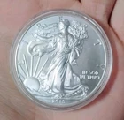 2015 American Silver Eagle 1 oz .999 Fine Silver Coin Milk Spots