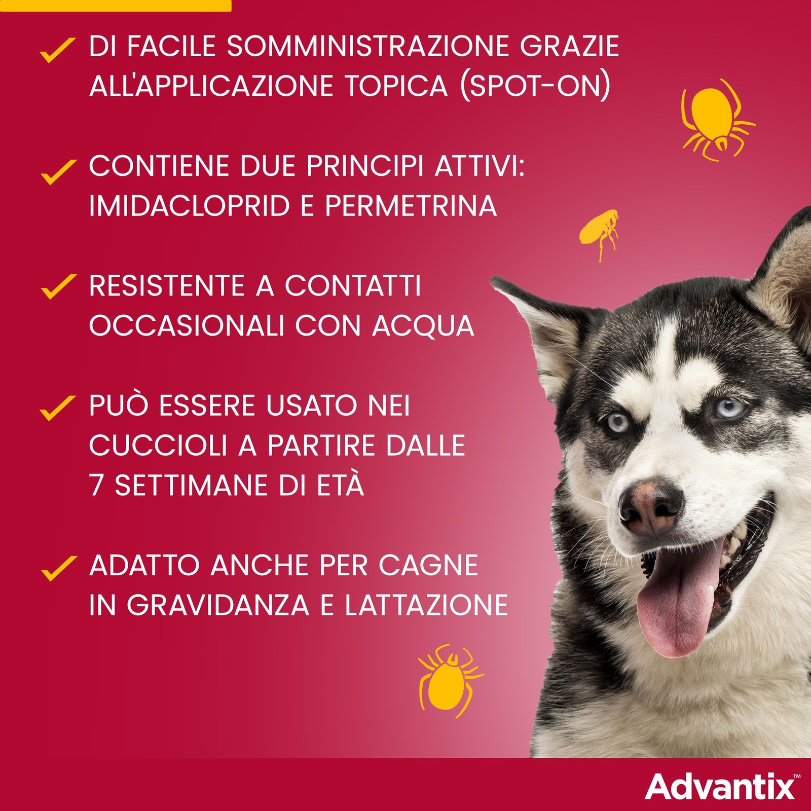 Antiparassitario Spot-On Cani 25-40 kg | 4 Pipette Repellenti per Zecche - 4