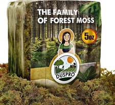 DUSPRO Dried Forest Moss for Potted Plants Orchid Terrarium 4 Quarts