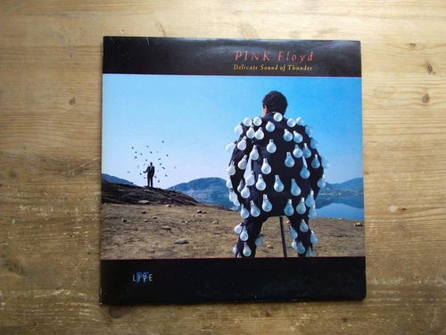 Pink Floyd Delicate Sound of Thunder VG+ 2 x Vinyl LP Record Album EQ5009 (M5)