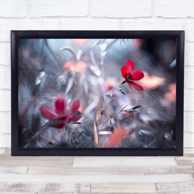 Une Fleur Histoire Blume rot verschwommen verschwommen Bokeh Blumen L Wandbild Druck