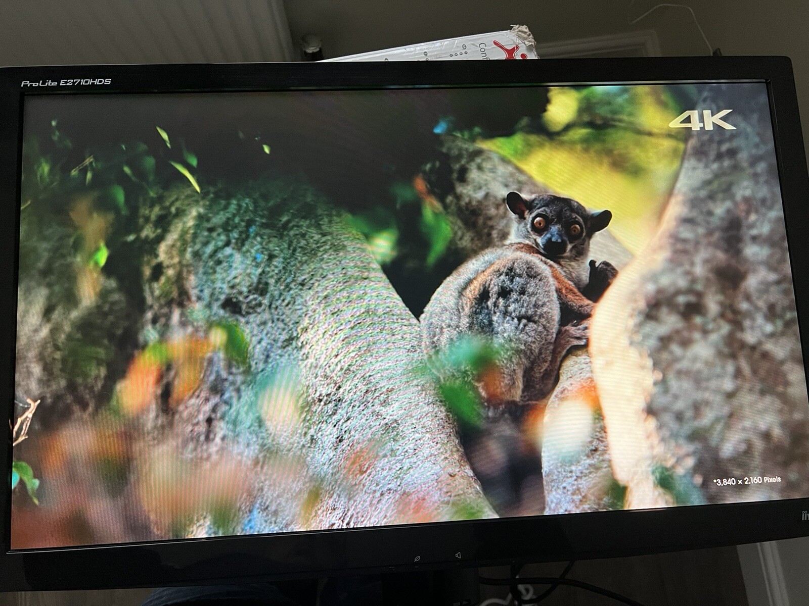 iiyama ProLite ProLite E2710HDS-B 27 