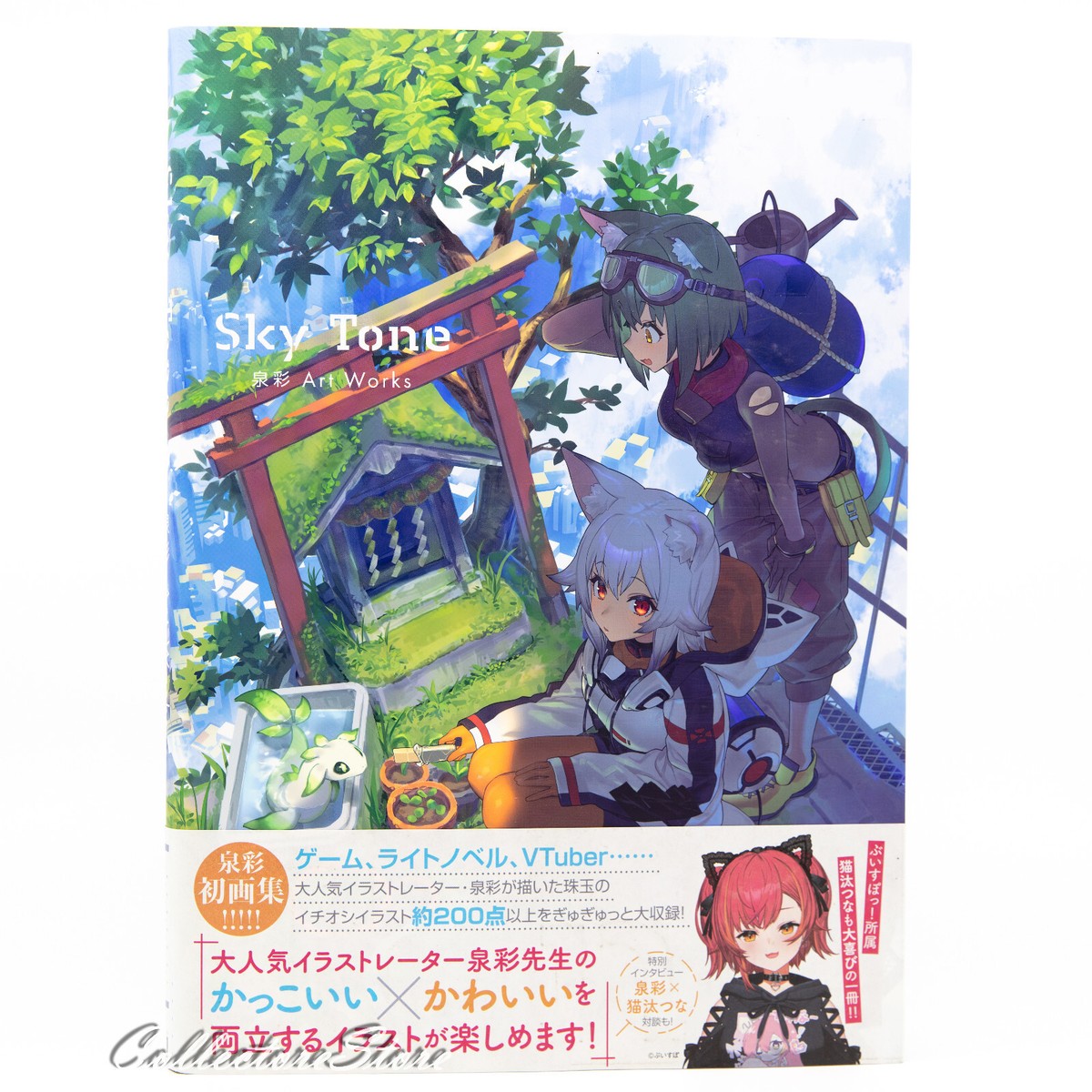 Sai Izumi Art Book Sky Tone (US/EU/DDP) | eBay