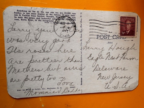 Postcard: Jackson Perkins Rose Garden , Newark, New York, posted 1952 - Picture 2 of 2