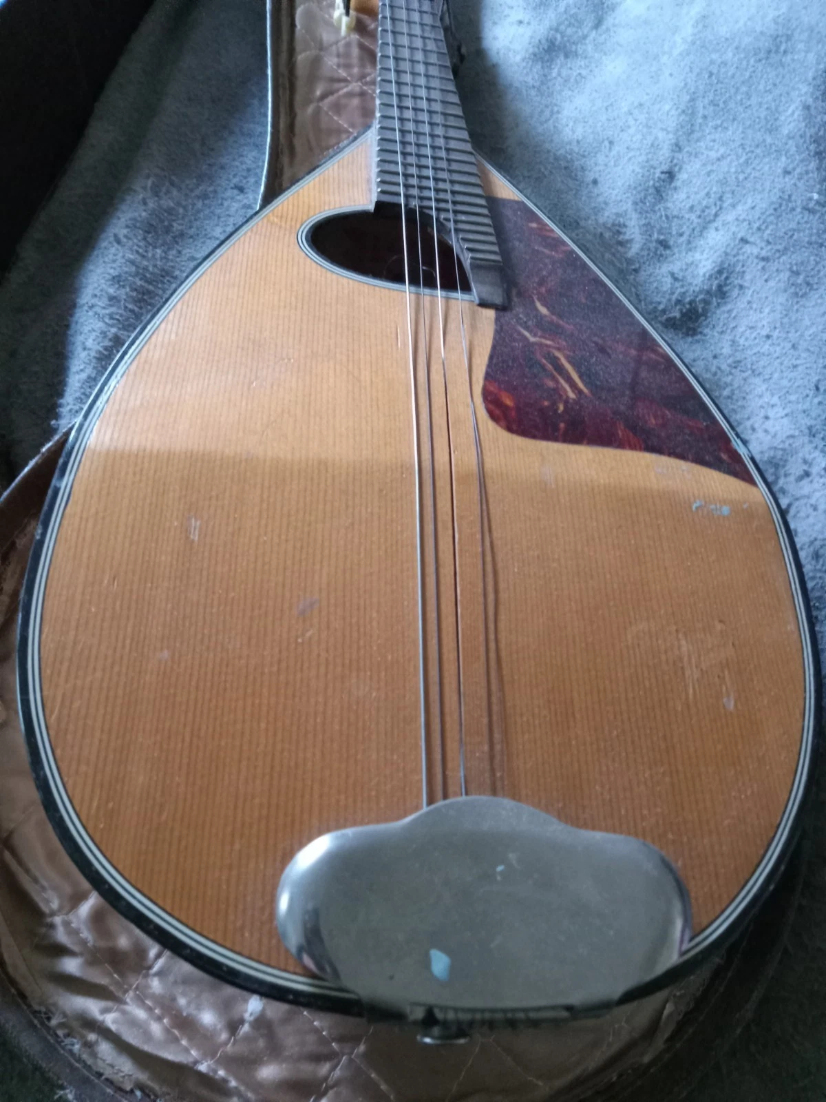 Picture 15 of 16