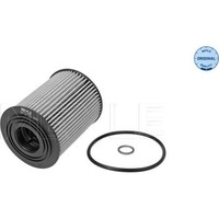 Meyle 29-14 322 0001 ÖLfilter FüR Chevrolet Opel Captiva Cruze Epica Lacetti