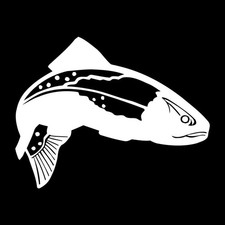 Trout Fish Fishing Decal Sticker White Die Cut Vinyl