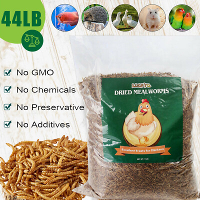 44LBS Bulk Dried Mealworms for Wild Birds Food Blue Bird Chickens Hen Treats New