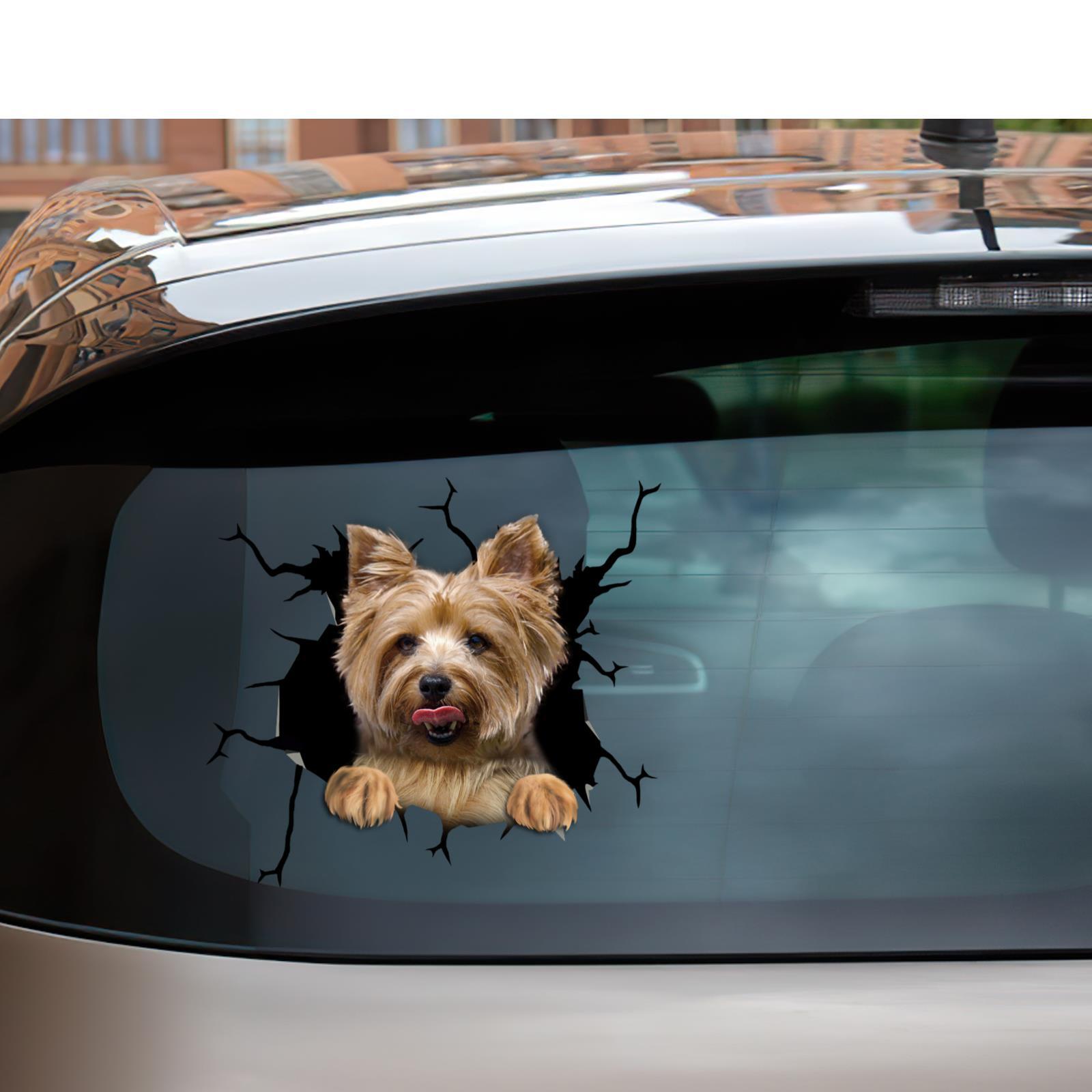 Yorkie Terrier Car Sticker Car Truck Window Decals Yorkie For Wall ...